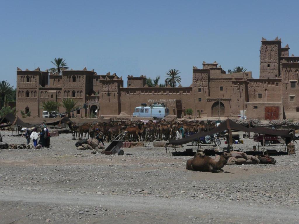 Espace Kasbah Amridil Skoura Bagian luar foto